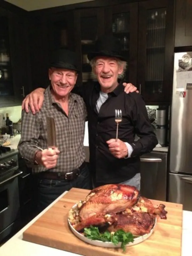Patrick Stewart-Ian McKellen