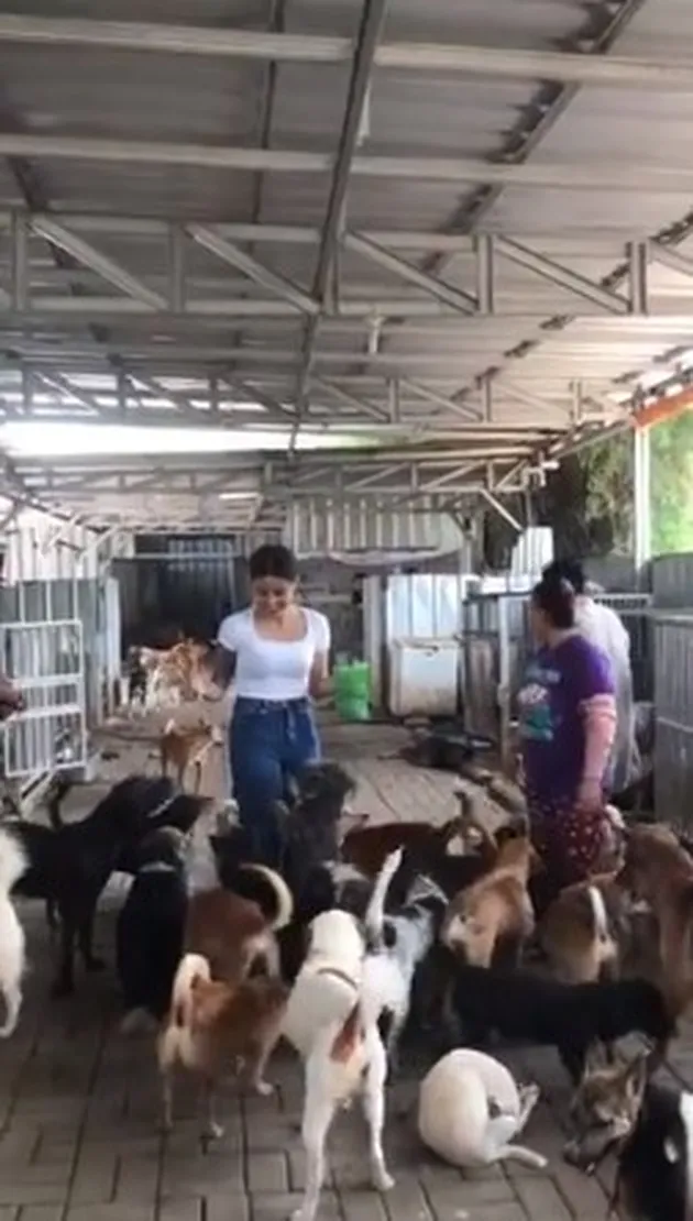 awkarin, berita awkarin, aksi kebaikan awkarin