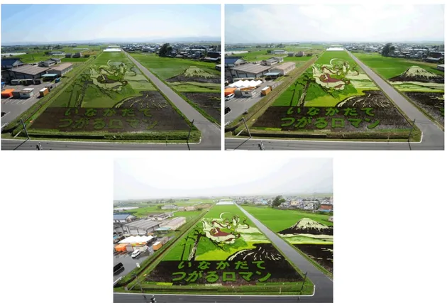 Sawah Indah