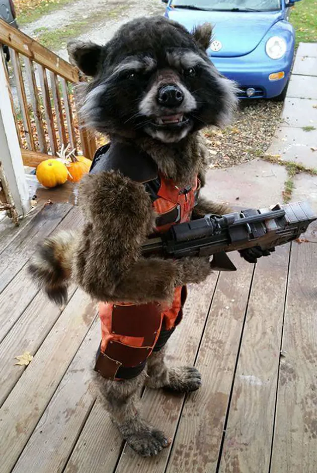 kostum halloween, halloween costume