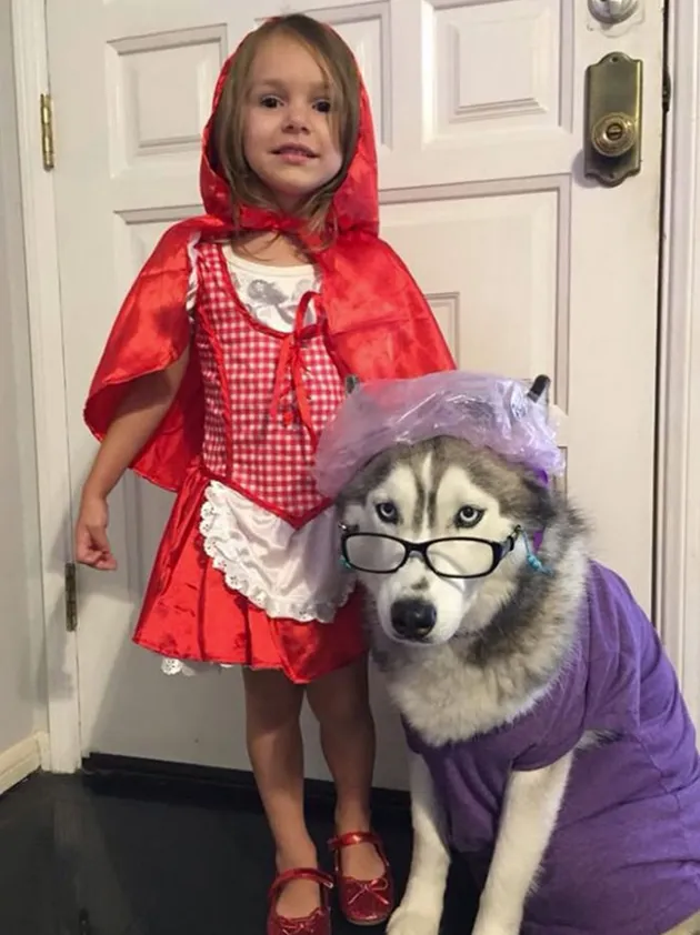 kostum halloween, halloween costume
