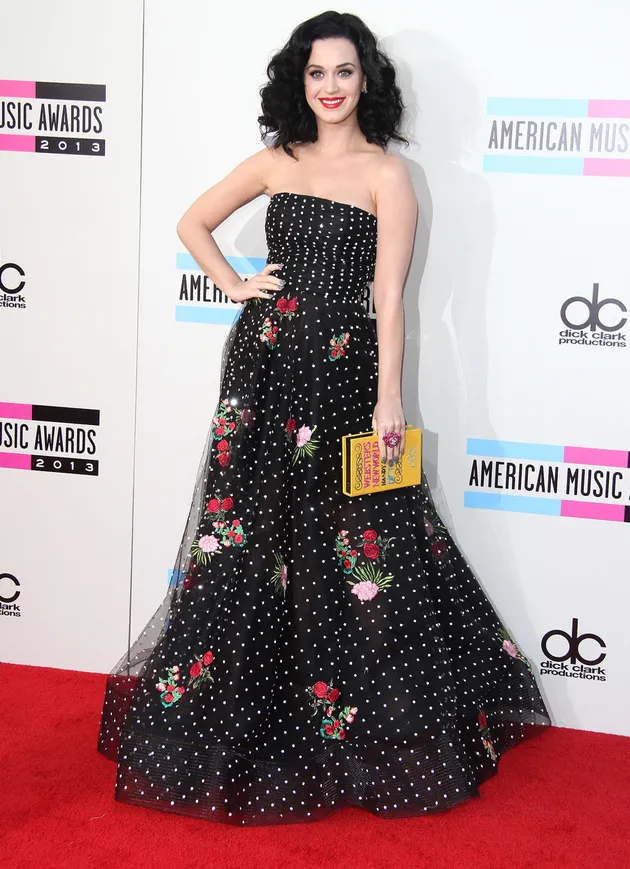 AMA 2013