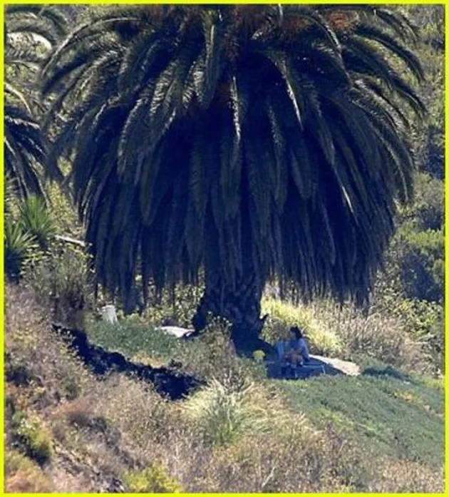 brad_pitt_santa-barbra