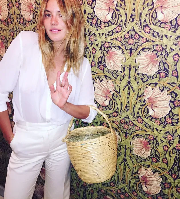 camille rowe harry styles