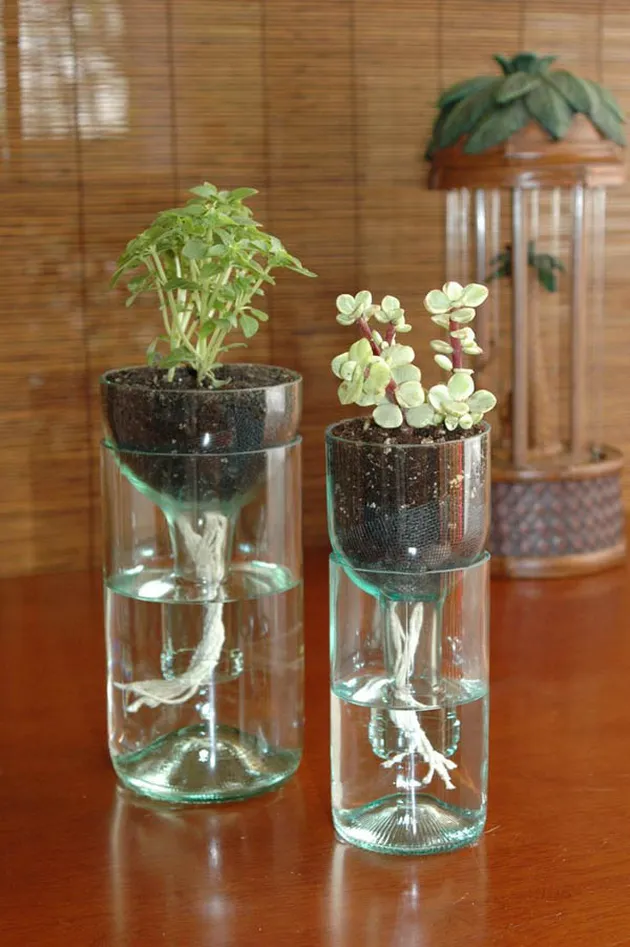 botol bekas, kreatif dari botol, ide kreatif
