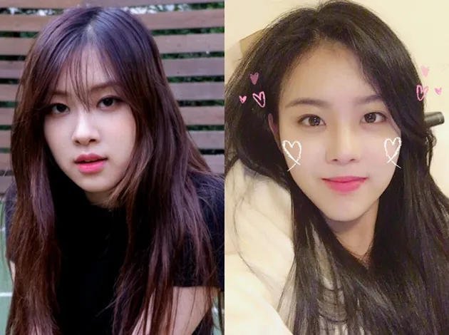 saudara bintang k-pop