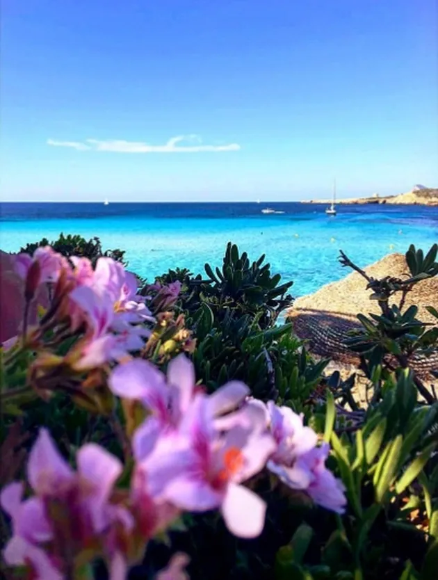 Cantik Hot Ariel Tatum Liburan Keliling Eropa Bak Sosialita