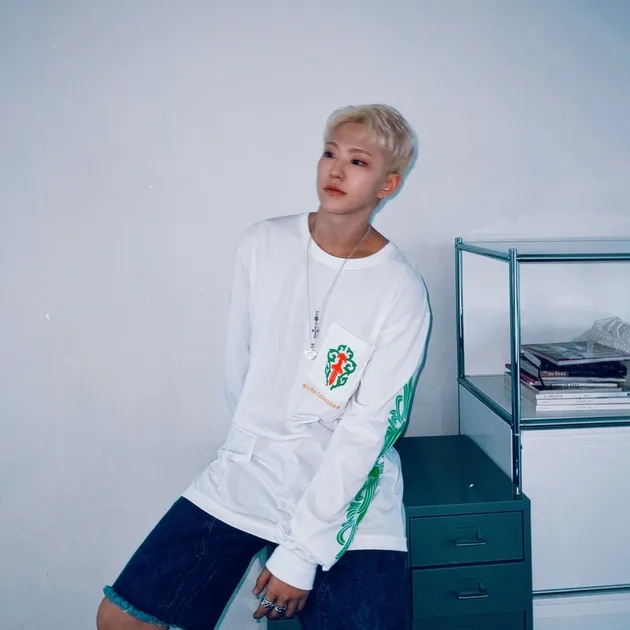 Kecocokan Cewek Leo an Hoshi SEVENTEEN