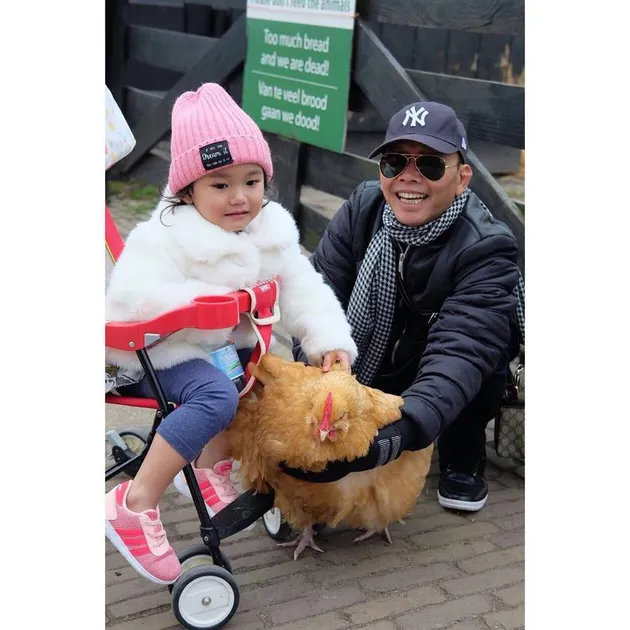 ayu ting ting, bilqis khumairah razak