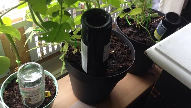 lifehack, lifehack sehari hari, lifehack unik