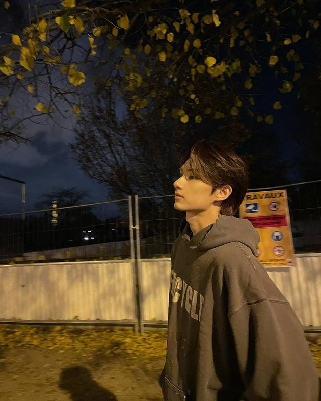 <nil>