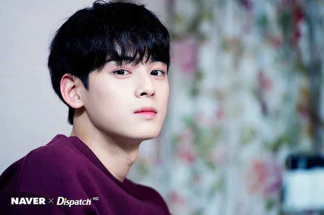 cha eunwoo ganteng
