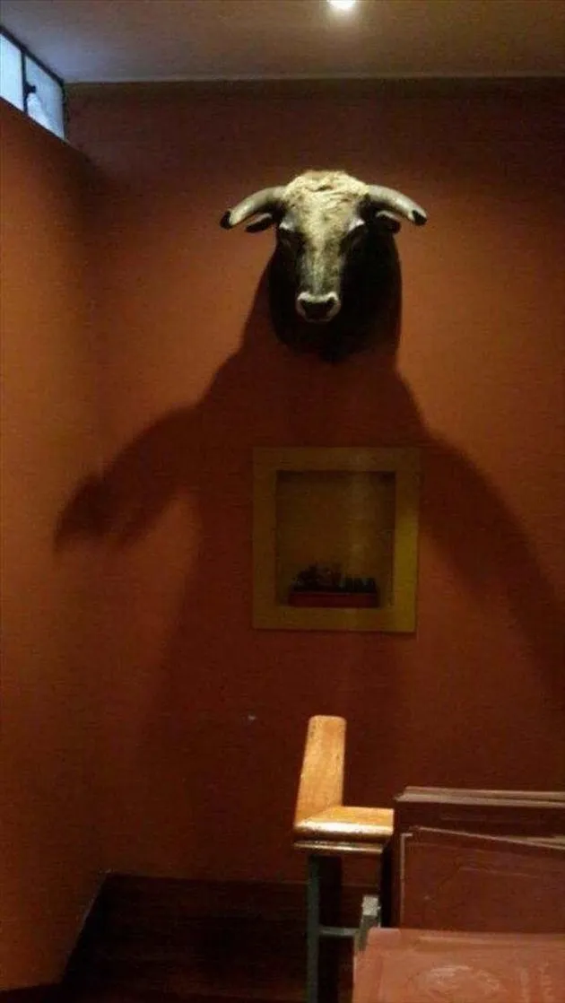 foto-foto aneh yang harus dilihat lagi