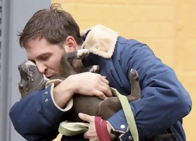 tom hardy, berita tom hardy, artis penyayang binatang, tom hardy penyayang binatang