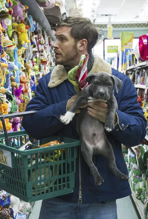 tom hardy, berita tom hardy, artis penyayang binatang, tom hardy penyayang binatang