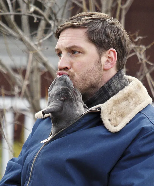 tom hardy, berita tom hardy, artis penyayang binatang, tom hardy penyayang binatang
