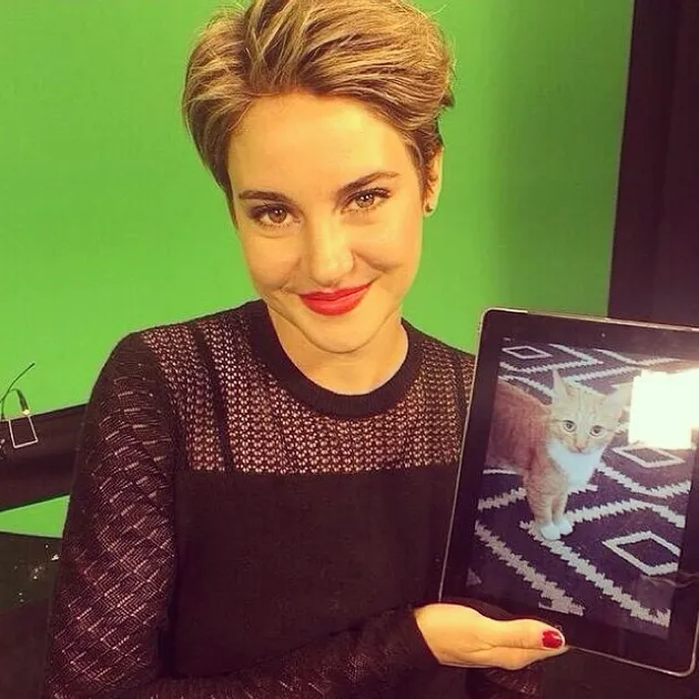 Shailene Woodley