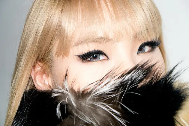 cl 2ne1