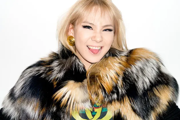 cl 2ne1