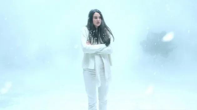 WHITE BIRD IN A BLIZZARD