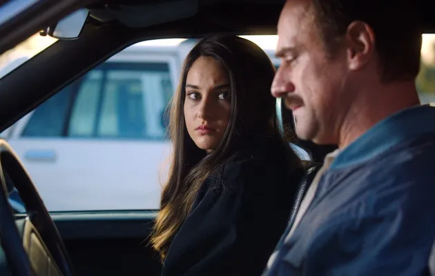 WHITE BIRD IN A BLIZZARD