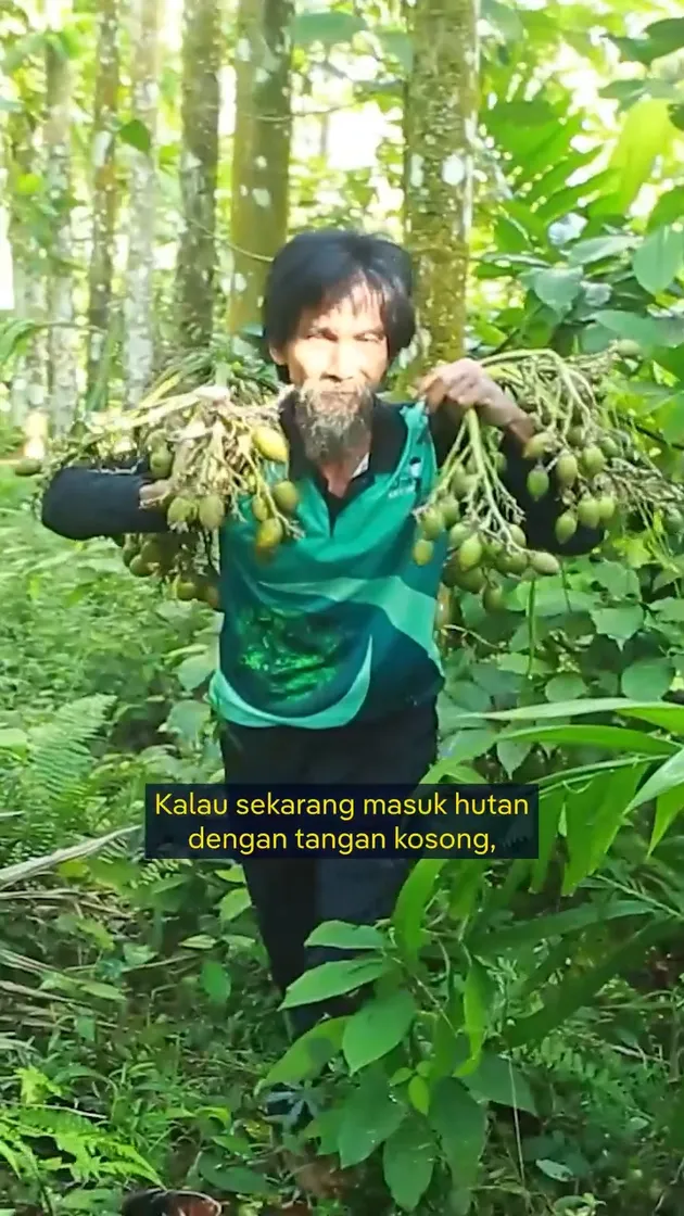 Da&#039;im tunjukkan hasil panen Pohon Pinang