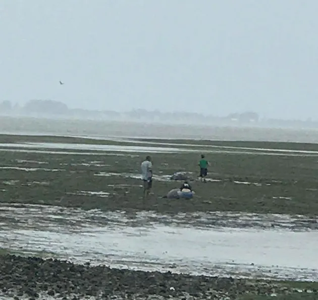 badai irma, hurricane irma, dampak badai irma, dampak hurricane irma