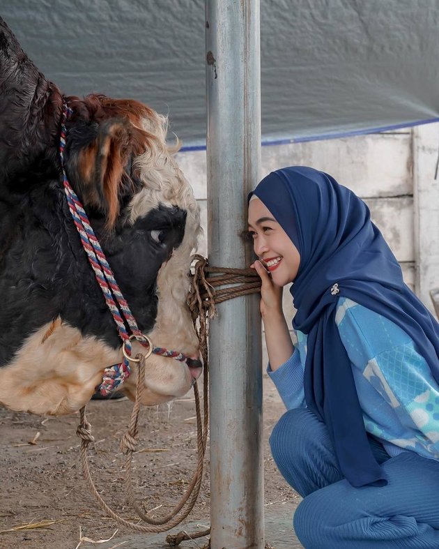 From Raffi Ahmad to Irfan Hakim, These 12 Celebrities Sacrifice Cows on Eid al-Adha - Some Weighing up to 1.2 Tons