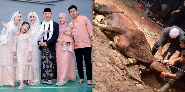 From Raffi Ahmad to Irfan Hakim, These 12 Celebrities Sacrifice Cows on Eid al-Adha - Some Weighing up to 1.2 Tons