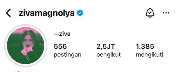 <nil>