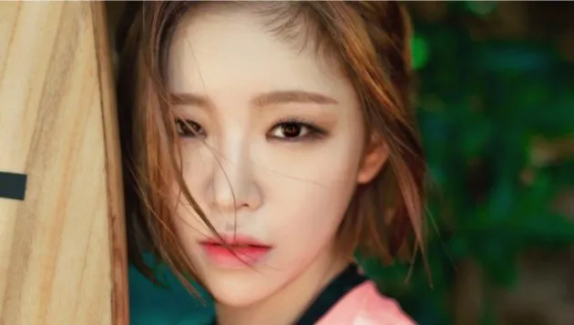 Seleb korea Oplas