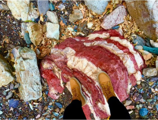 foto unik, foto kreatif, foto lucu, foto aneh