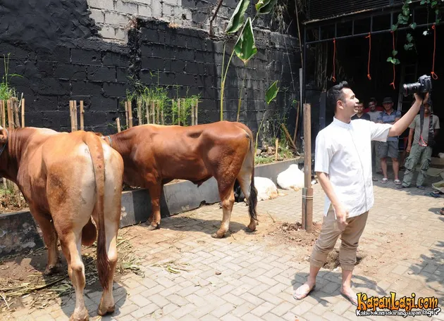 Detik-Detik Menegangkan Raffi Ahmad Saksikan Penyembelihan Hewan