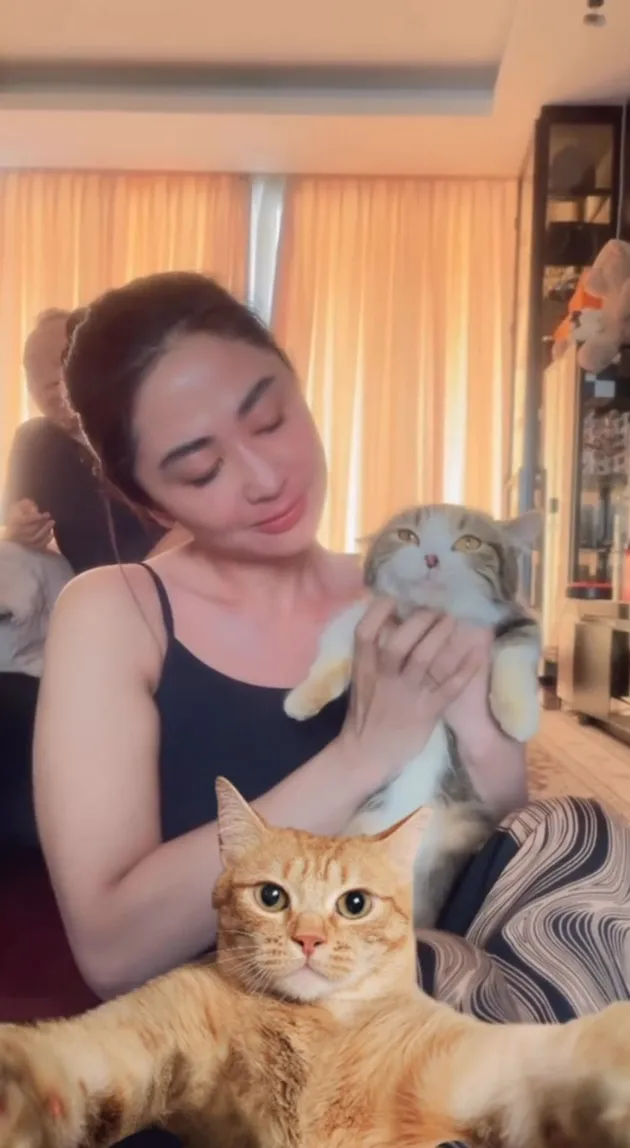 Dewi Perssik Kucing Eko Patrio