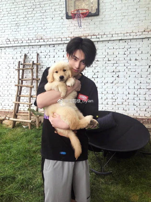 dylan wang