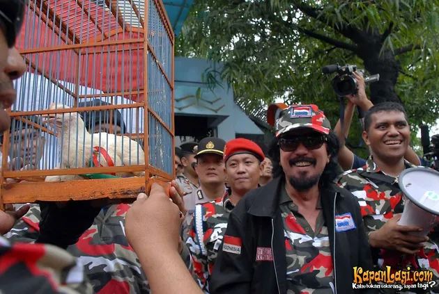 manohara odelia pinot