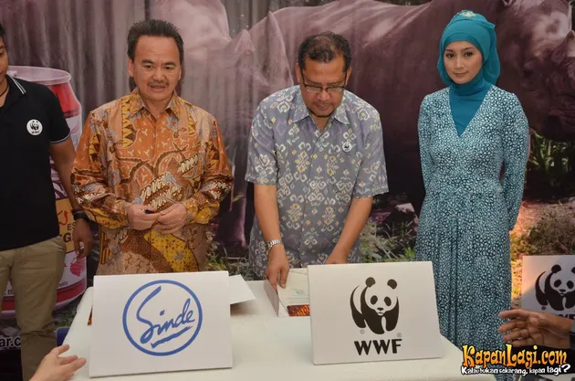 Desy Ratnasari