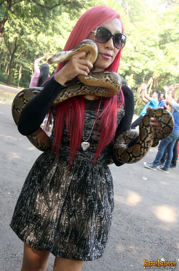 Dewi Sanca, Jay Jalalu