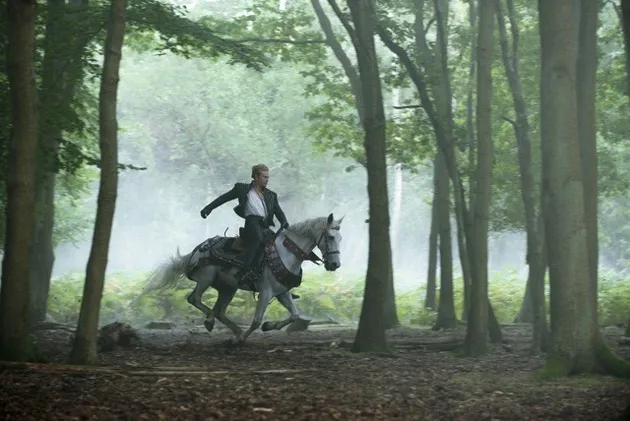 Into The Woods