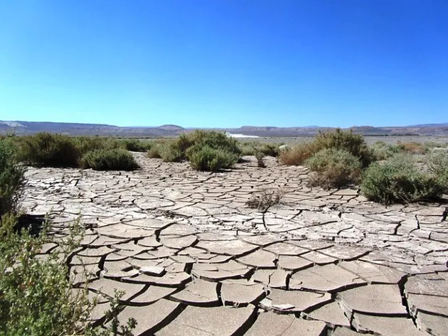 fakta seru dari Bumi