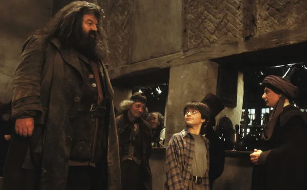 Fakta Terbaru Harry Potter