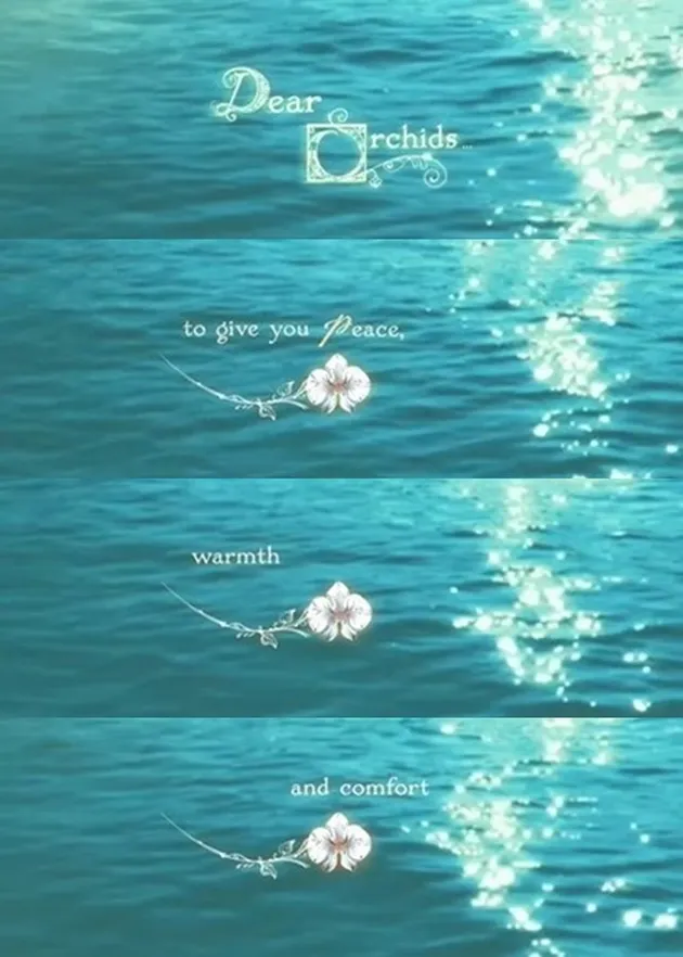 <nil>