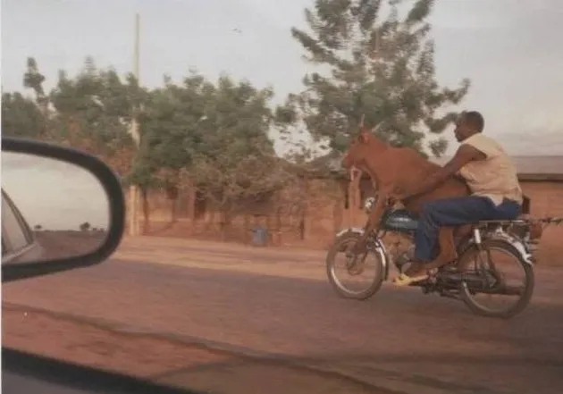 foto-foto hal gila di India