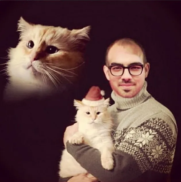 10 Kartu Natal Para Seleb Hollywood Yang Aneh