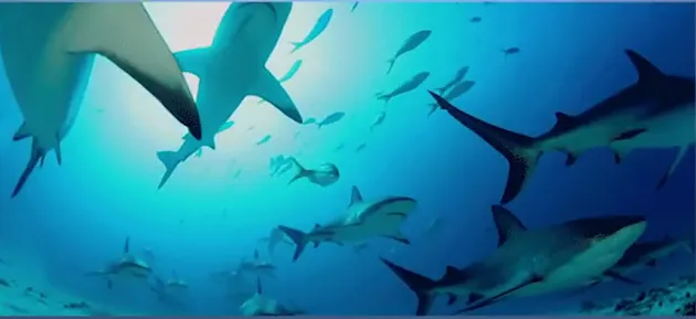 The most dangerous places