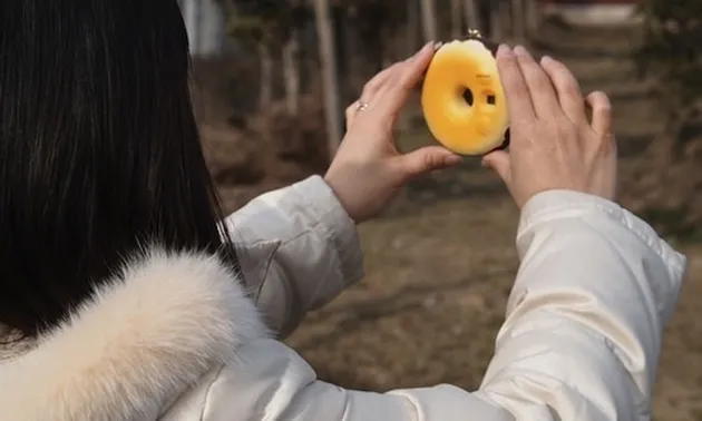 foto-foto penemuan gila dari Jepang