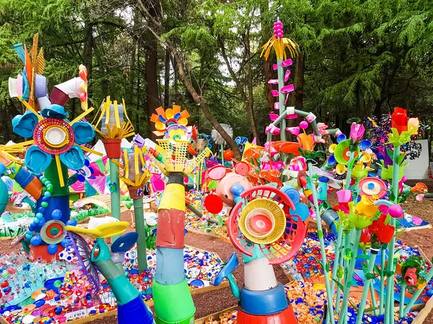 The Future Forest
