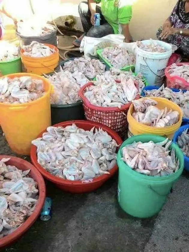 barang selundupan, foto unik, kumpulan barang yang diselundupkan