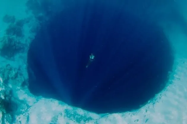 hal mengerikan di laut, foto unik, foto mengerikan