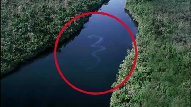 hal mengerikan di laut, foto unik, foto mengerikan